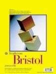 300 SMOOTH BRISTOL  9X12 20SH